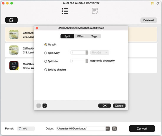 split audiobook into chapters via audfree audible converter