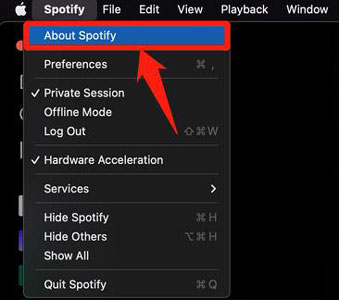 update spotify for mac app