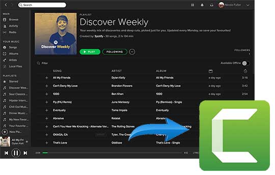 add spotify music to camtasia