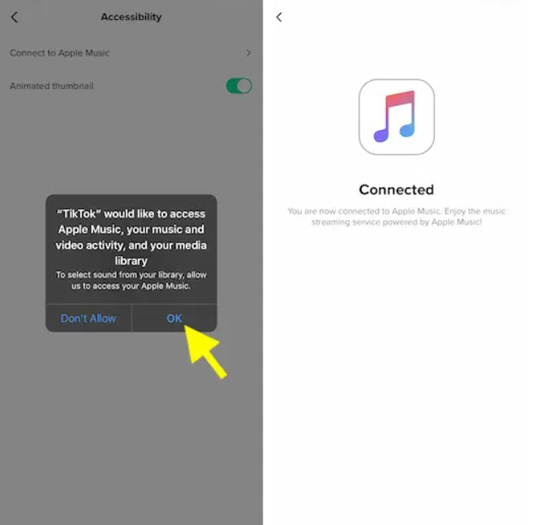 allow tiktok access to apple music