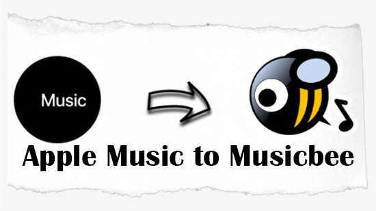 import apple music to musicbee