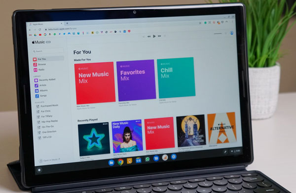 apple music web player on chromebook