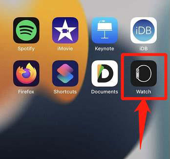 open apple watch app on iphone