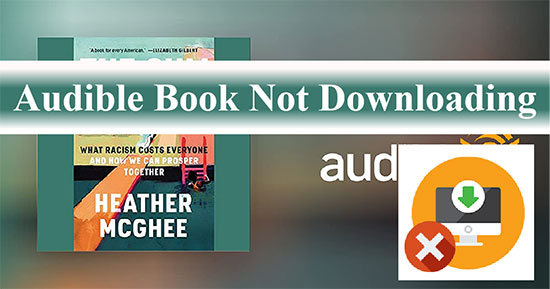 audible book not downloading 