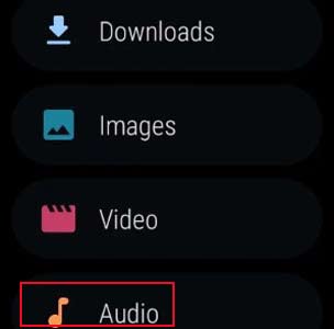 audio section on wear os