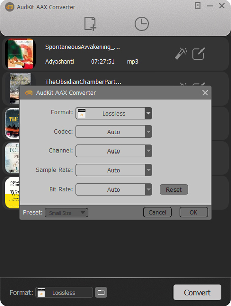 select the output settings for audible audiobook