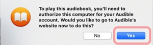 authorize this computer for audible on apple books app on mac