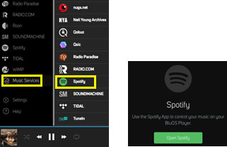 bluesound node spotify connect online