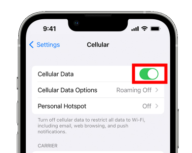 enable cellular data iphone