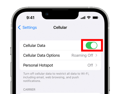 enable cellular data on iphone