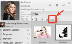 play tidal on lumin via lumin app