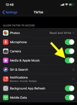 connect apple music to tiktok via the settings app