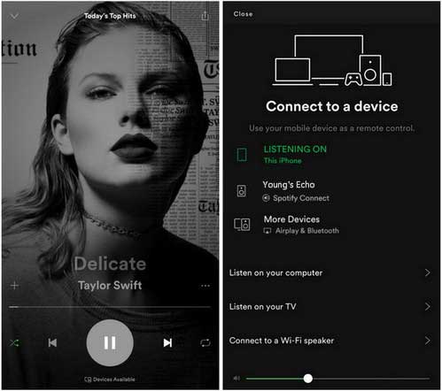 Play spotify on alexa from best sale iphone