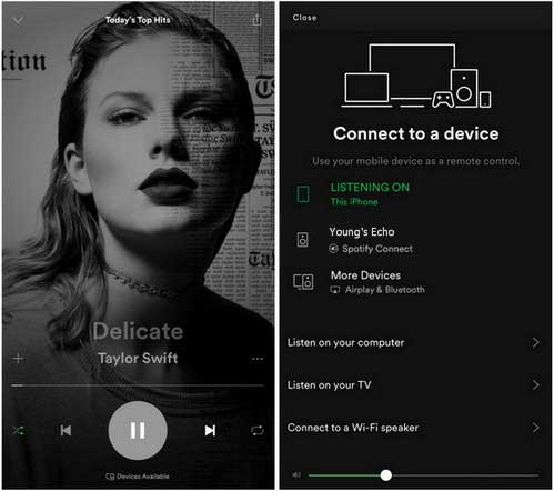 connect spotify to alexa via spotify connect