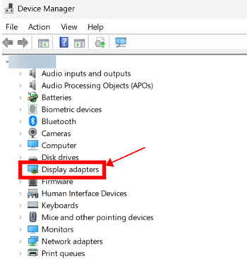 locate display adapters in device manager window