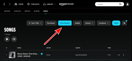 amazon music offline mode pc