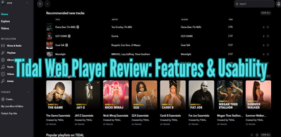 tidal web player review