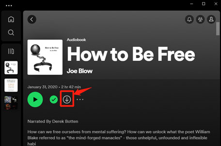 download audiobooks from spotify with premium