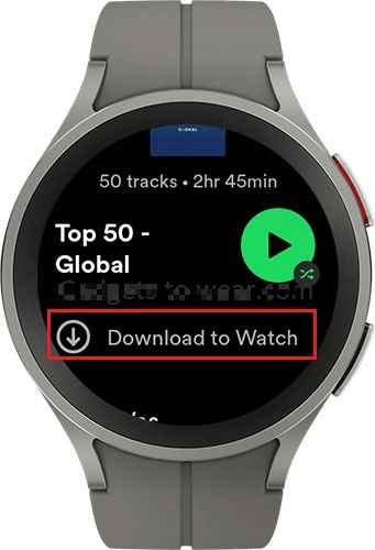 download spotify on pixel watch with premium