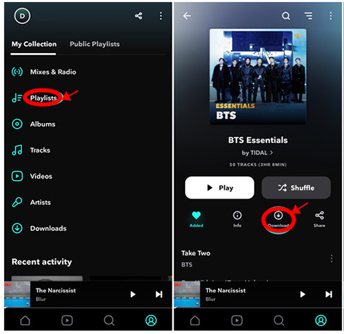 download tidal flac songs on mobile