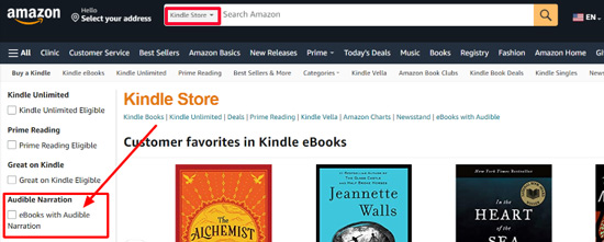 ebooks with audible narration