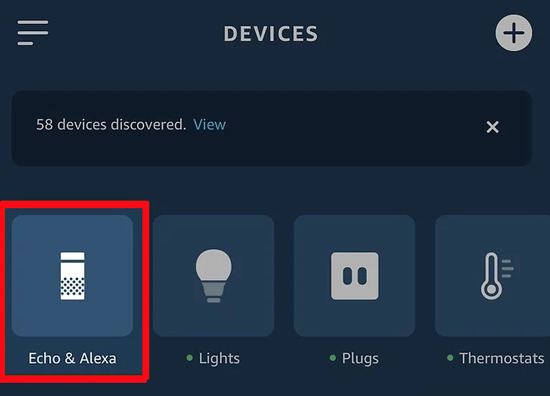 echo and alexa option