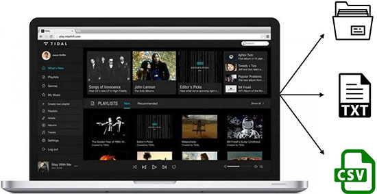 export tidal playlist