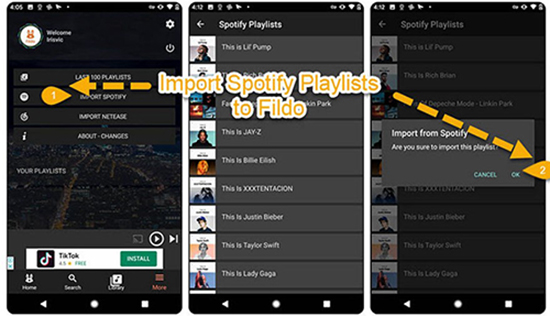 fildo spotify vk downloader android alternative