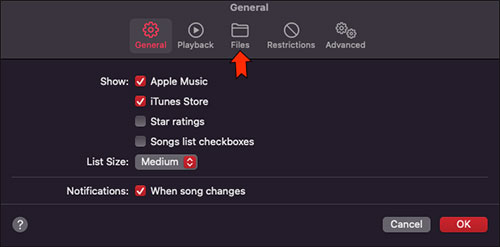 files tab in apple music app on mac