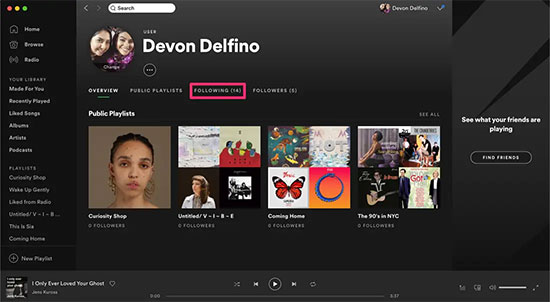 follower on spotify