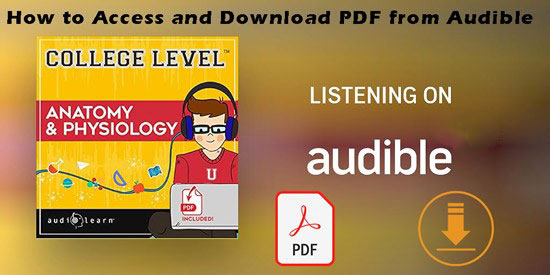 get pdf in audible