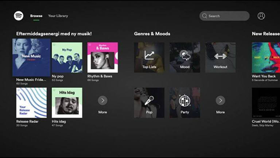 get spotify on roku