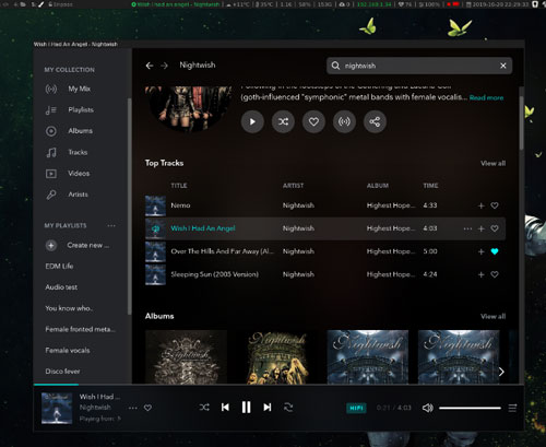 github tidal hifi