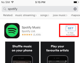 how to install spotify app on ipad