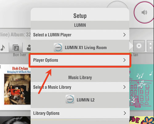 tidal setting in lumin app