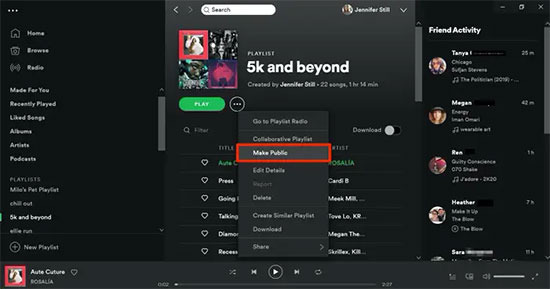 make liked songs public on spotify