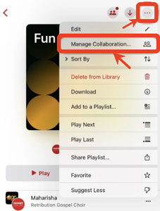 manage apple music collaborative playlist
