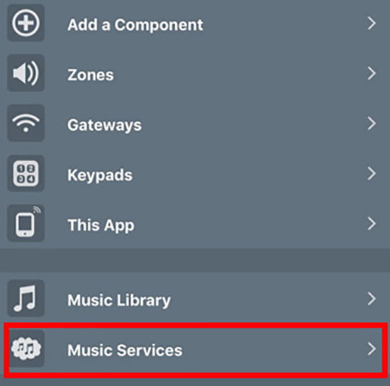 choose music services on nuvo player