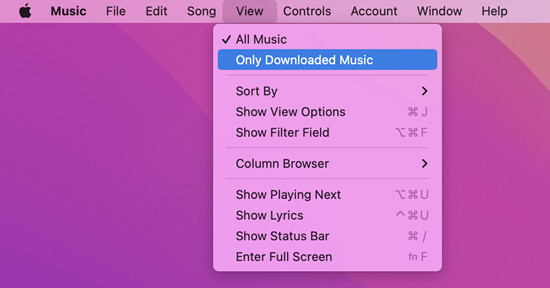 view downloaded apple music files on mac