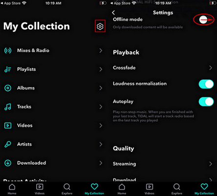 find downloaded tidal music and turn on offline mode
