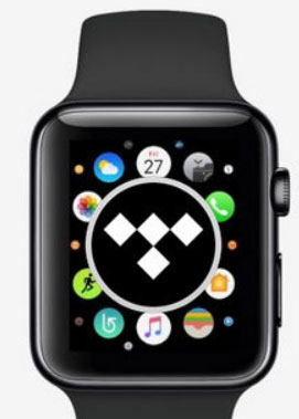 open tidal on apple watch