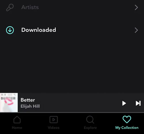 find tidal downloaded music