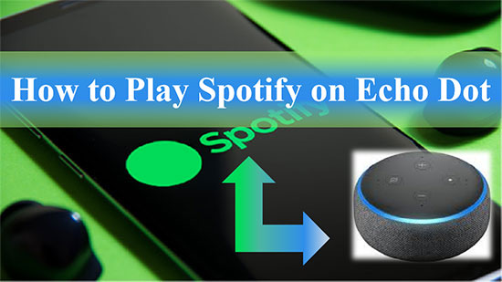 play spotify on echo dot