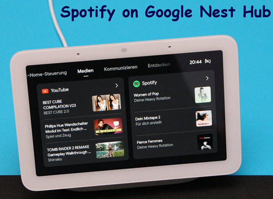 google nest hub and spotify