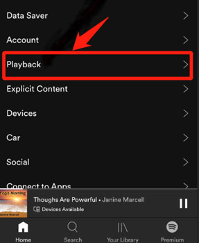 playback section in spotify mobile app