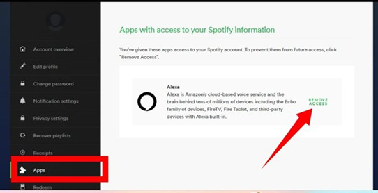 remove access from spotify