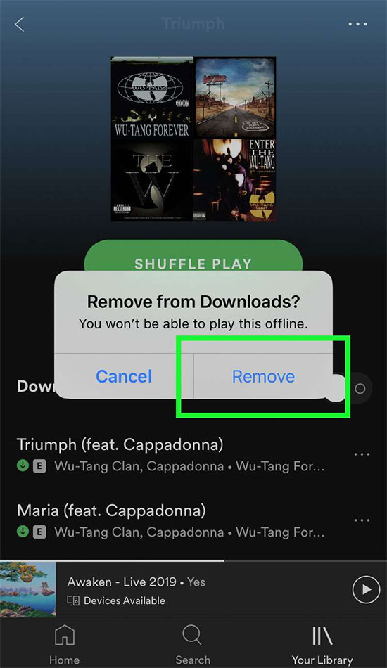 remove spotify downloads iphone