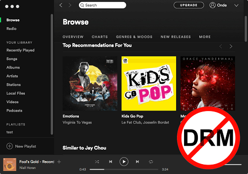 spotify drm removal