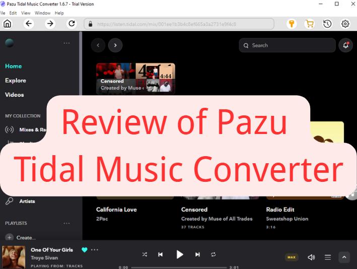 pazu tidal music converter review