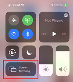 play audible on roku by screen mirroring on ios